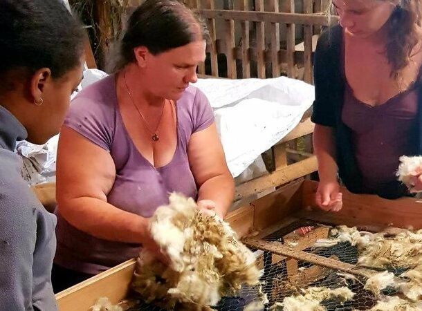 Atelier pour fabriquer de la laine